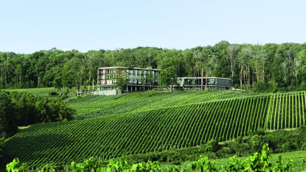LOISIUM Wine & Spa Hotel